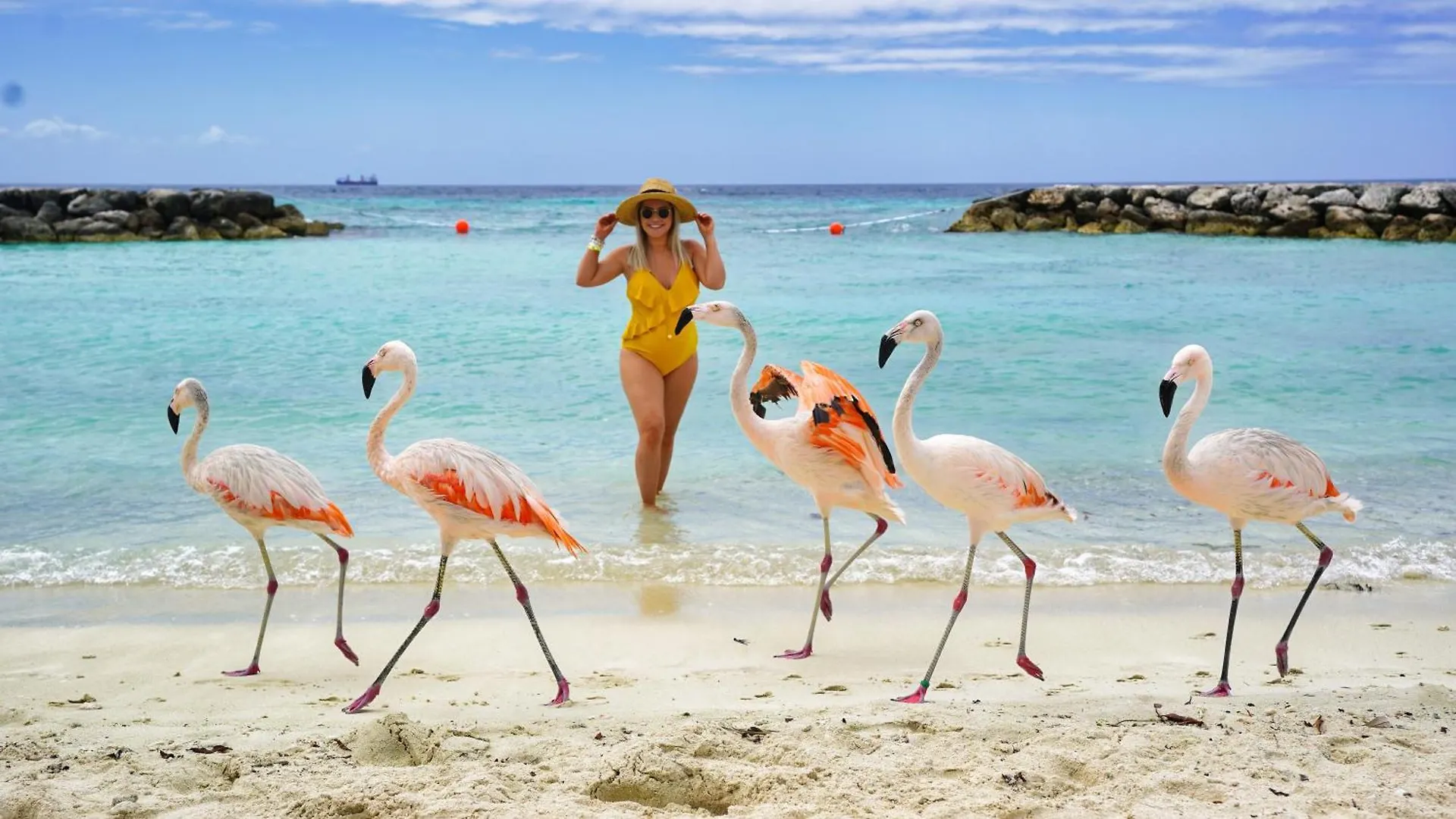 Catalina Residence Apt 3 - L.G. Smith Boulevard 546-J Palm Beach 0*,  Aruba